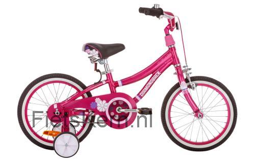 Diamondback Mini Della Cruz specificaties en beoordelingen